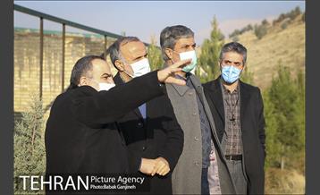 بازدید دکتر سلیمی از منطقه 13