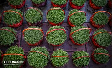 بازار تجریش در آستانه نوروز 42