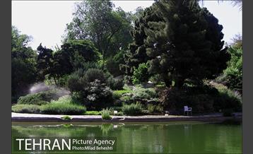 تهرانگردی احمد مسجدجامعی در منطقه 22‎ 8