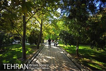 بوستان هنرمندان (ایرانشهر) 18