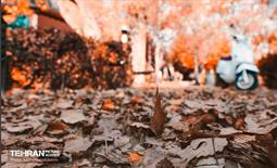 گذرگاه های پاییزی پایتخت - منطقه 9