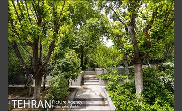 بوستان نیاوران 22