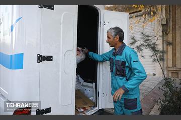 به وقت خدمت؛ نوماند 4