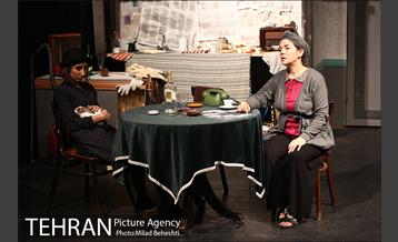 نمایش اثر پرتوهای گاما بر گل های همیشه بهار 8