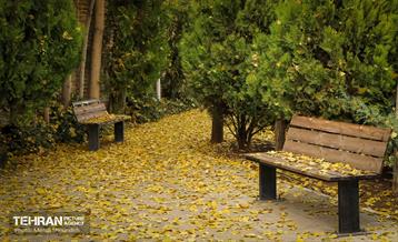 تهران زیبای من؛ منطقه 7