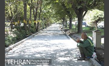 بازسازی سنگ فرش های بلوار کشاورز‎ 13