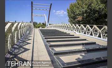 تنفس طبیعت زیبای منطقه ۷ در روزهای حضور کمرنگ شهروندان 10