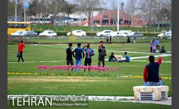 رویش گل های لاله در میدان آزادی 31