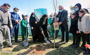 گرامیداشت سرو قامتان شهید سلامت در منطقه ۸