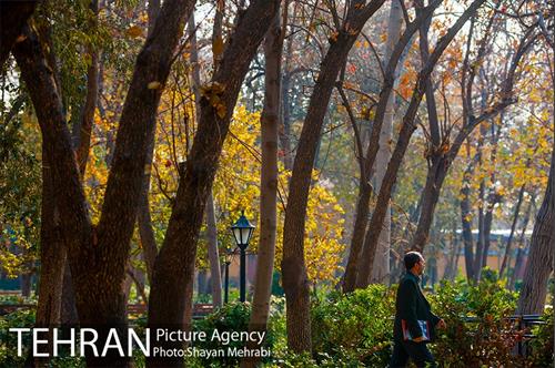 پاییز باغ ایرانی 15