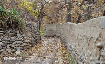 طبیعت پاییزی کوچه باغ‌های محله کن 20