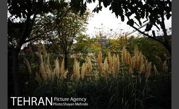 بوستان نهج البلاغه (فاز2) 41