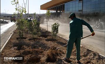 ترمینال شرق 17