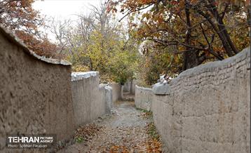 طبیعت پاییزی کوچه باغ‌های محله کن 27