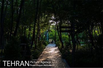 بوستان باغ ایرانی 33