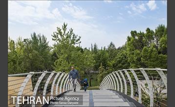 بوستان آزادگان 5