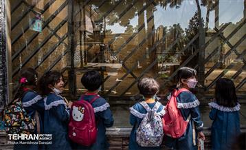 «مایسا» یکساله شد 21