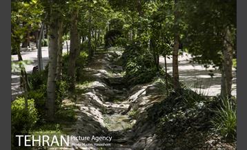 بوستان ساعی 17