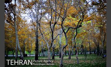 پاییز در بوستان ملت 36