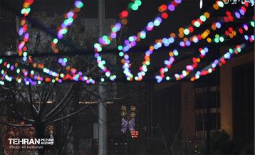 استقبال از بهار - 5 37