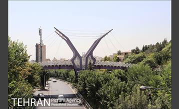 تنفس طبیعت زیبای منطقه ۷ در روزهای حضور کمرنگ شهروندان 18