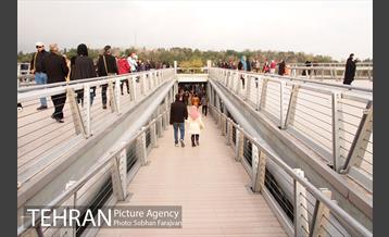 پل طبیعت در نوروز  13