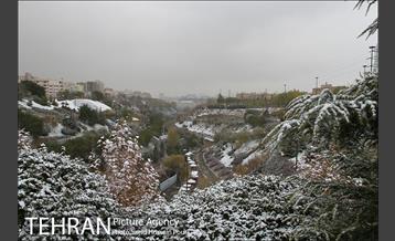 تهران سفید پوش شد 18