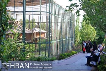 باغ پرندگان تهران 10