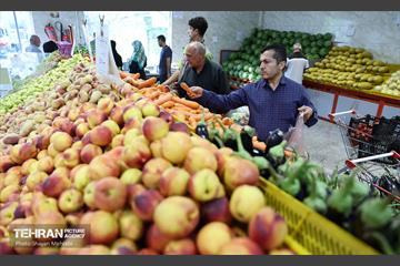 تور بازدید از میادین و بازارهای میوه و تره‌بار شهرداری تهران 52
