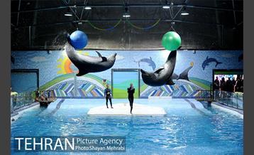 حضور خانواده هاى کارکنان شهردارى تهران در دلفیناریوم برج میلاد به همراه شهردار تهران 27