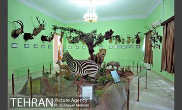 موزه حیات وحش هفت چنار 4