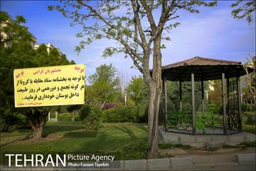روز طبیعت در بوستان هاى منطقه ٥