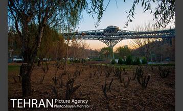 پاییز پل طبیعت 38