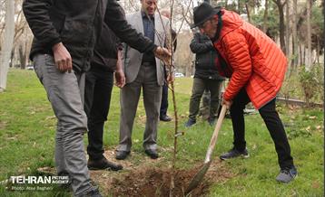 کاشت درخت توسط هنرمندان در فرهنگسرای نیاوران 3