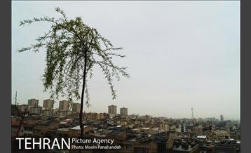 تهران بارانی 9