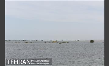 بازدید شهردار تهران از منطقه سیل زده پل سبحانیه دشت آزادگان 16