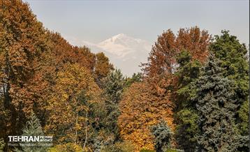 سمفونی رنگ های پاییزی - کاخ سعدآباد 15