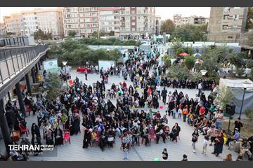نخستین جشنواره سبزی در منطقه 18 12