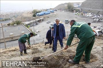 بازدید شهردار تهران از پروژه درختکاری کمربند سبز تهران  7