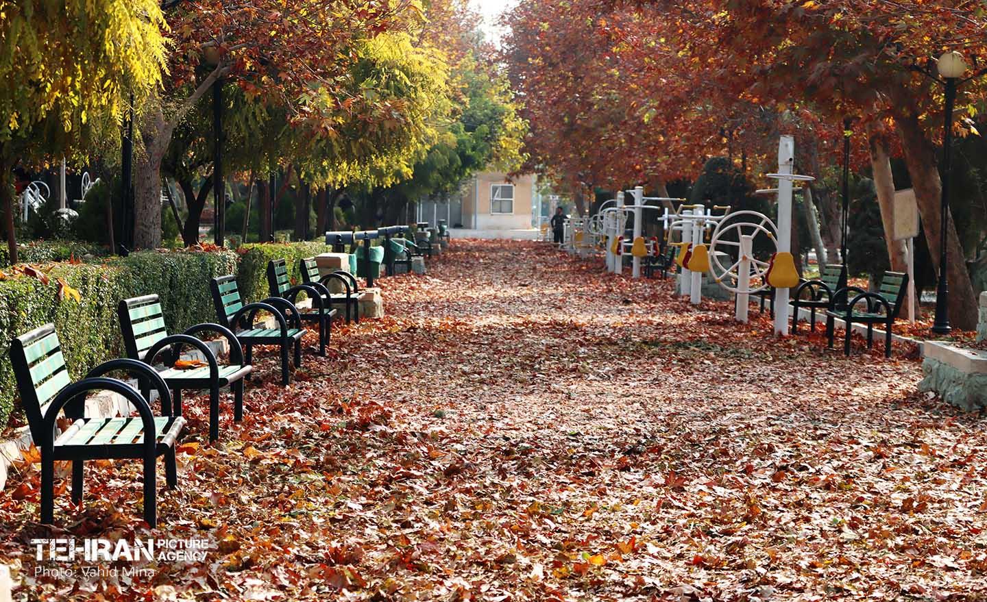 گذر پاییزی بوستان رازی 10