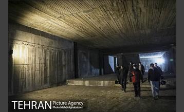 پویش سه شنبه های بدون خودرو در منطقه 8