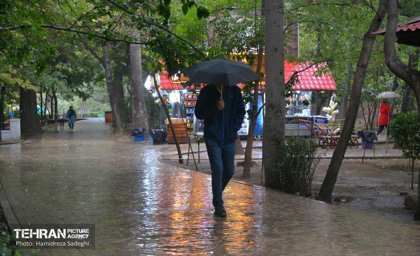 بارش باران پاییزی در تهران 12