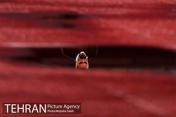 دیدار تیم‌های فوتبال استقلال و صنعت نفت آبادان  21