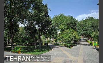 بوستان هفت چنار 7