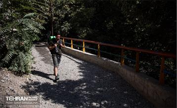 شهرنگار؛ درکه 11