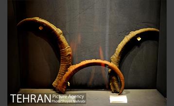 موزه موسیقی 36