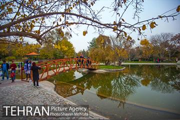 باغ گیاه‌شناسی ملی ایران 37