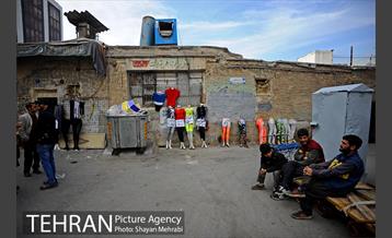 چرخ دستی های بازار 14