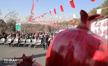 آیین یلدای مهربانی و کاشت نهال در بوستان سرخه حصار 14