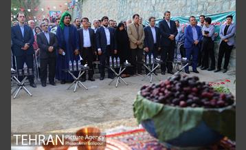 دومین جشنواره شاتوت دردهستان سولقان 14